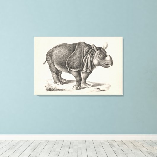 Brodtmann Rhinoceros Sketch Canvas Afdruk (Insitu (Houten vloer))