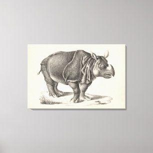 Brodtmann Rhinoceros Sketch Canvas Afdruk