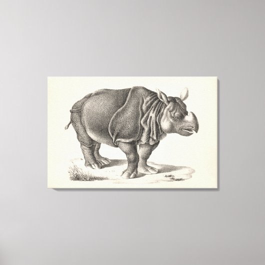 Brodtmann Rhinoceros Sketch Canvas Afdruk (Voorkant)