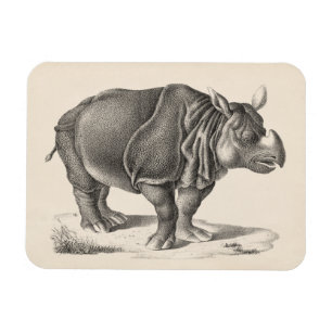 Brodtmann Rhinoceros Sketch Magneet