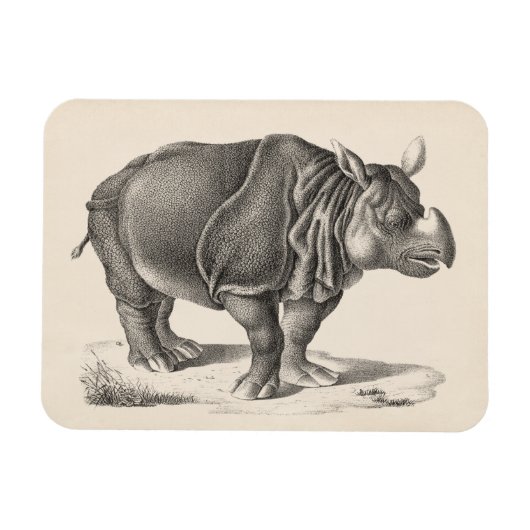 Brodtmann Rhinoceros Sketch Magneet (Horizontaal)