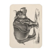 Brodtmann Rhinoceros Sketch Magneet (Verticaal)