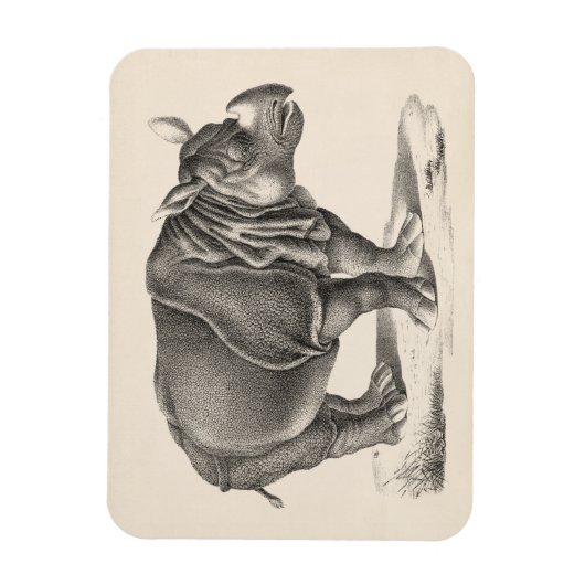 Brodtmann Rhinoceros Sketch Magneet (Verticaal)