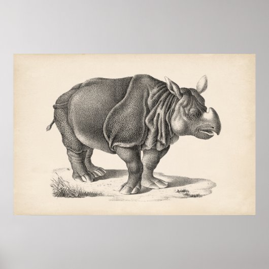 Brodtmann Rhinoceros Sketch Poster (Voorkant)