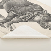 Brodtmann Rhinoceros Sketch Sherpa Deken (3/4)