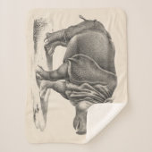 Brodtmann Rhinoceros Sketch Sherpa Deken (Voorkant)