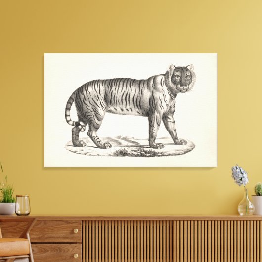 Brodtmann Tiger Sketch Canvas Afdruk (Insitu (Woonkamer))
