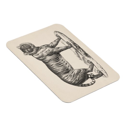 Brodtmann Tiger Sketch Magneet (Rechterzijde)