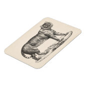Brodtmann Tiger Sketch Magneet (Linkerzijde)