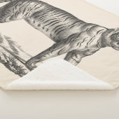 Brodtmann Tiger Sketch Sherpa Deken (3/4)