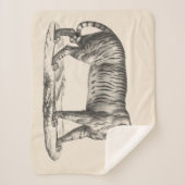 Brodtmann Tiger Sketch Sherpa Deken (Voorkant)