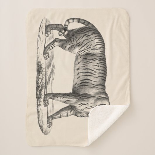 Brodtmann Tiger Sketch Sherpa Deken (Voorkant)