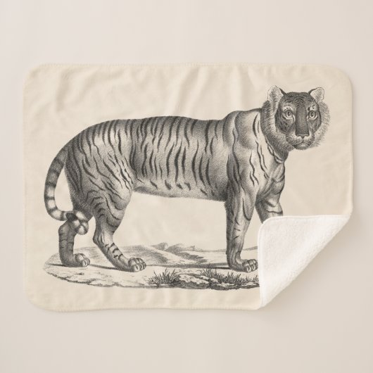 Brodtmann Tiger Sketch Sherpa Deken (Voorkant (horizontaal))