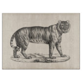 Brodtmann Tiger Sketch Snijplank (Voorkant)