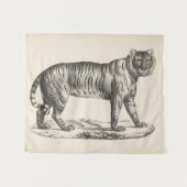 Brodtmann Tiger Sketch Wandkleed (Voorkant (horizontaal))