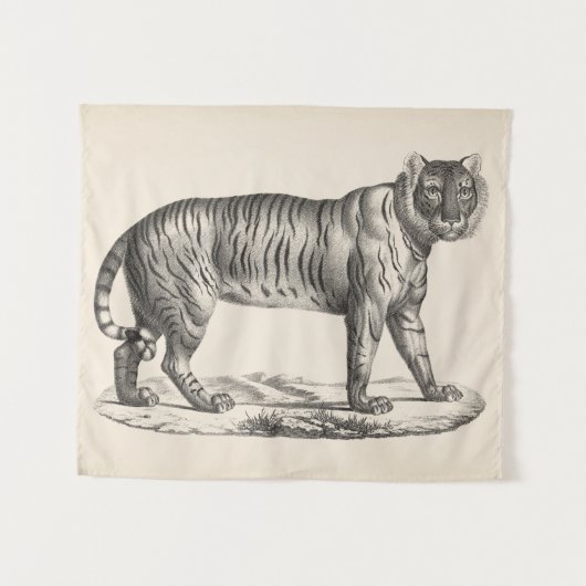 Brodtmann Tiger Sketch Wandkleed (Voorkant (horizontaal))