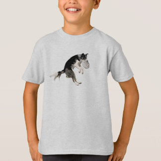 Brody T-shirt