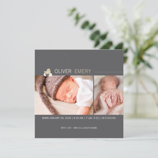 Broed Egg Baby Chick Foto Geboorte Aankondiging (Staand voorkant)