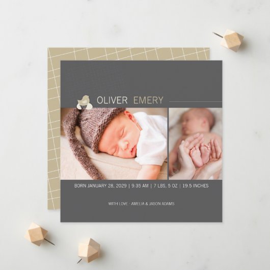 Broed Egg Baby Chick Foto Geboorte Aankondiging (Voorkant / Achterkant in situ)