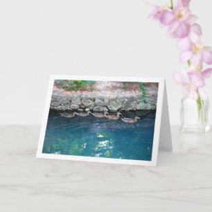 Broed van eenden in majestueus blauw water kaart