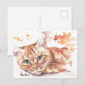 Broedende kat briefkaart (Voorkant / Achterkant)