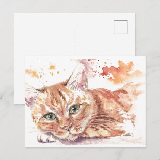 Broedende kat briefkaart (Voorkant / Achterkant)