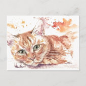 Broedende kat briefkaart (Voorkant)