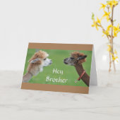 BROEDER HUMOR VOOR MIJN FAV *SISTER'S* BIRTHDAY! KAART (Gele Bloem)