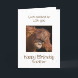Broeder Verjaardag, Orang Utan Kaart<br><div class="desc">Geef je broer een brutale aap van een verjaardagskaart. Een verjaardagskaart voor je eigen topbanaan! Een baby orang-oetan ziet er schattig uit.</div>