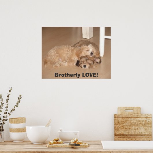 Broederlijk. Poster (Keuken)