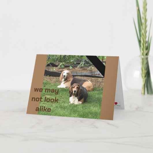 **BROEDERLIJKE TWEELING** OP ONZE VERJAARDAG KAART (Voorkant)