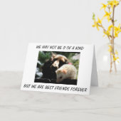 "BROEDERLIJKE TWEELING" WE ZIJN BESTE VRIENDEN VOO KAART (Gele Bloem)