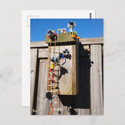 Broedkast vogelhuisje dat beklommen fubby's briefkaart (Voorkant / Achterkant)