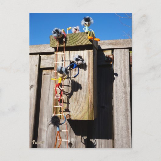 Broedkast vogelhuisje dat beklommen fubby's briefkaart (Voorkant)