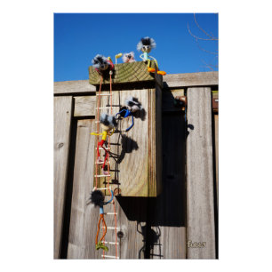 Broedkast vogelhuisje dat beklommen fubby's perfect poster