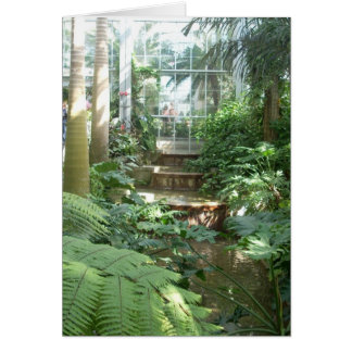 Broeikasbloemen zeven