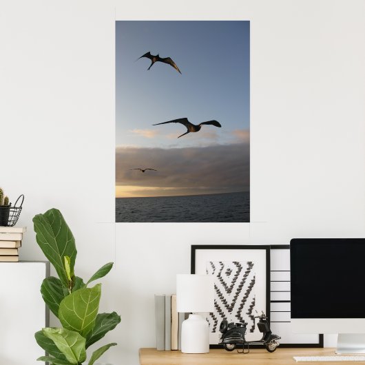 broekvogels in de zon poster (Thuiskantoor)