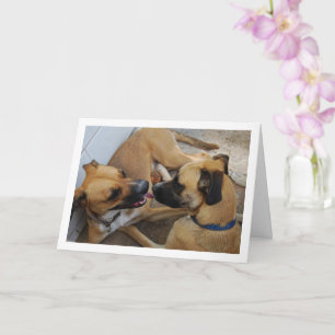 Broer en Zus, Hond Portret Kaart