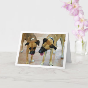 Broer en Zus, Hond Portret Kaart