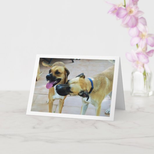 Broer en Zus, Hond Portret Kaart (Orchidee)