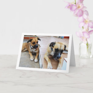 Broer en Zus, Hond Portret Kaart