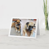 Broer en Zus, Hond Portret Kaart (Voorkant)