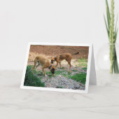 Broer en zus, hondenportret kaart (Voorkant)