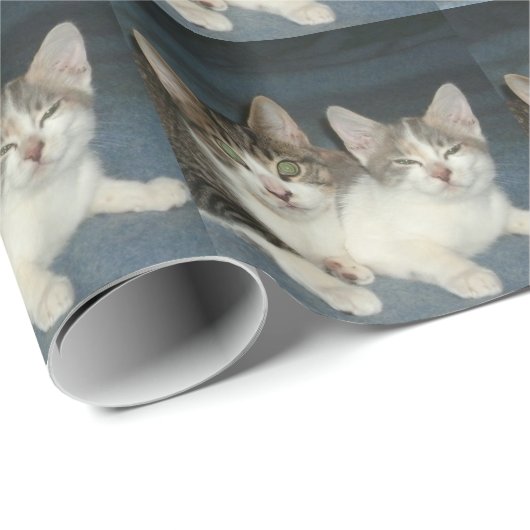 Broer en zuster cadeaupapier (Rol Hoek)