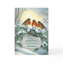 Broer Robins Prettig kerstfeest