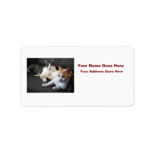 Broer & Zus Kitties Etiket