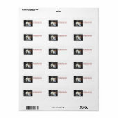 Broer & Zus Kitties Etiket (Full Sheet)