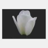 Broer/zuster-verjaardag Inpakpapier Vel (Voorkant 3)