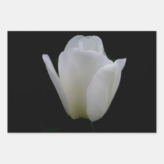 Broer/zuster-verjaardag Inpakpapier Vel (Voorkant 3)