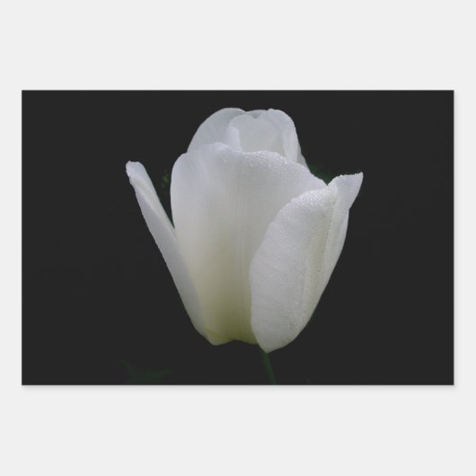 Broer/zuster-verjaardag Inpakpapier Vel (Voorkant 2)